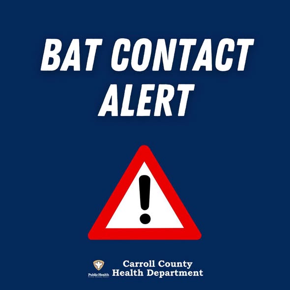 HEALTH ALERT — Bat exposure during Mount Airy Fireworks